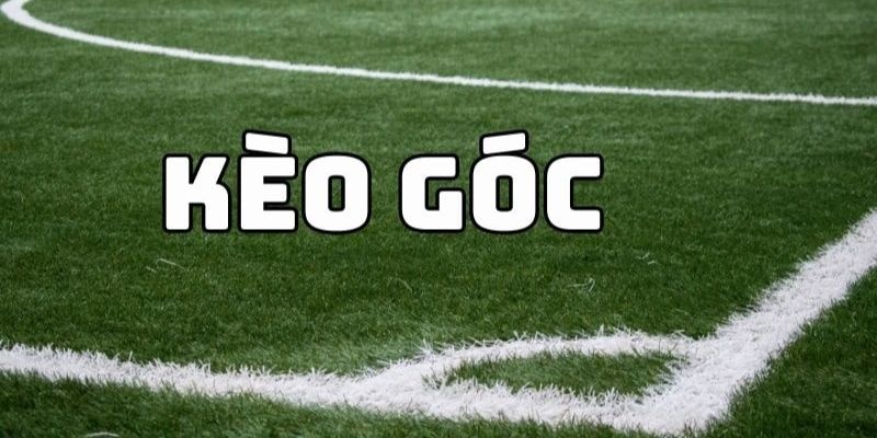 Cơ Hội Hốt Bạc Cực Dễ Từ Thể Thao Vua