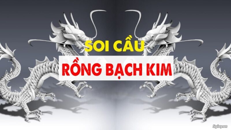 Rồng Bạch Kim Là Gì? Mẹo Soi Cầu Số Đẹp, Độc Đắc Cùng Good88